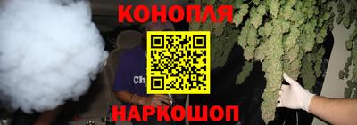 гашик Бузулук