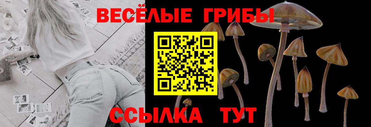 Псилоцибиновые грибы мицелий  Вход с VPN  Корсаков 